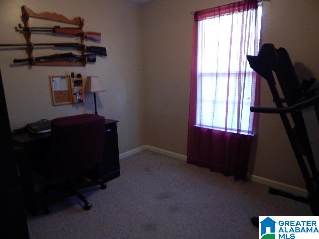 5300 Red Valley Road Remlap, AL 35133 - Photo 15 of 33