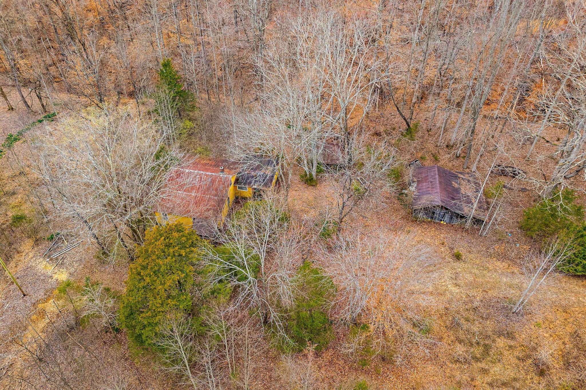 3944 Crawford Road Silver Point, TN 38582 - Photo 11 of 14 a aerial view of a house with a yard