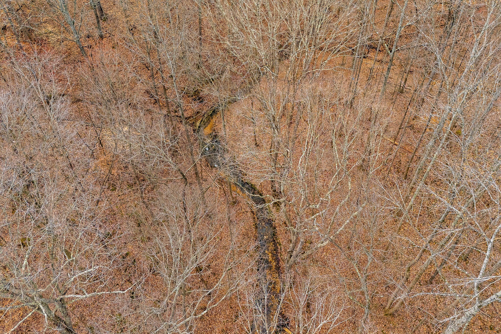 3944 Crawford Road Silver Point, TN 38582 - Photo 12 of 14