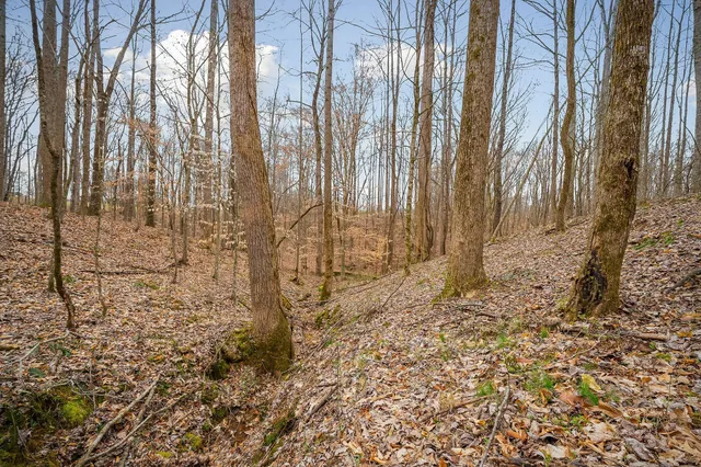 $111,499 | 3944 Crawford Road, Silver Point, TN 38582