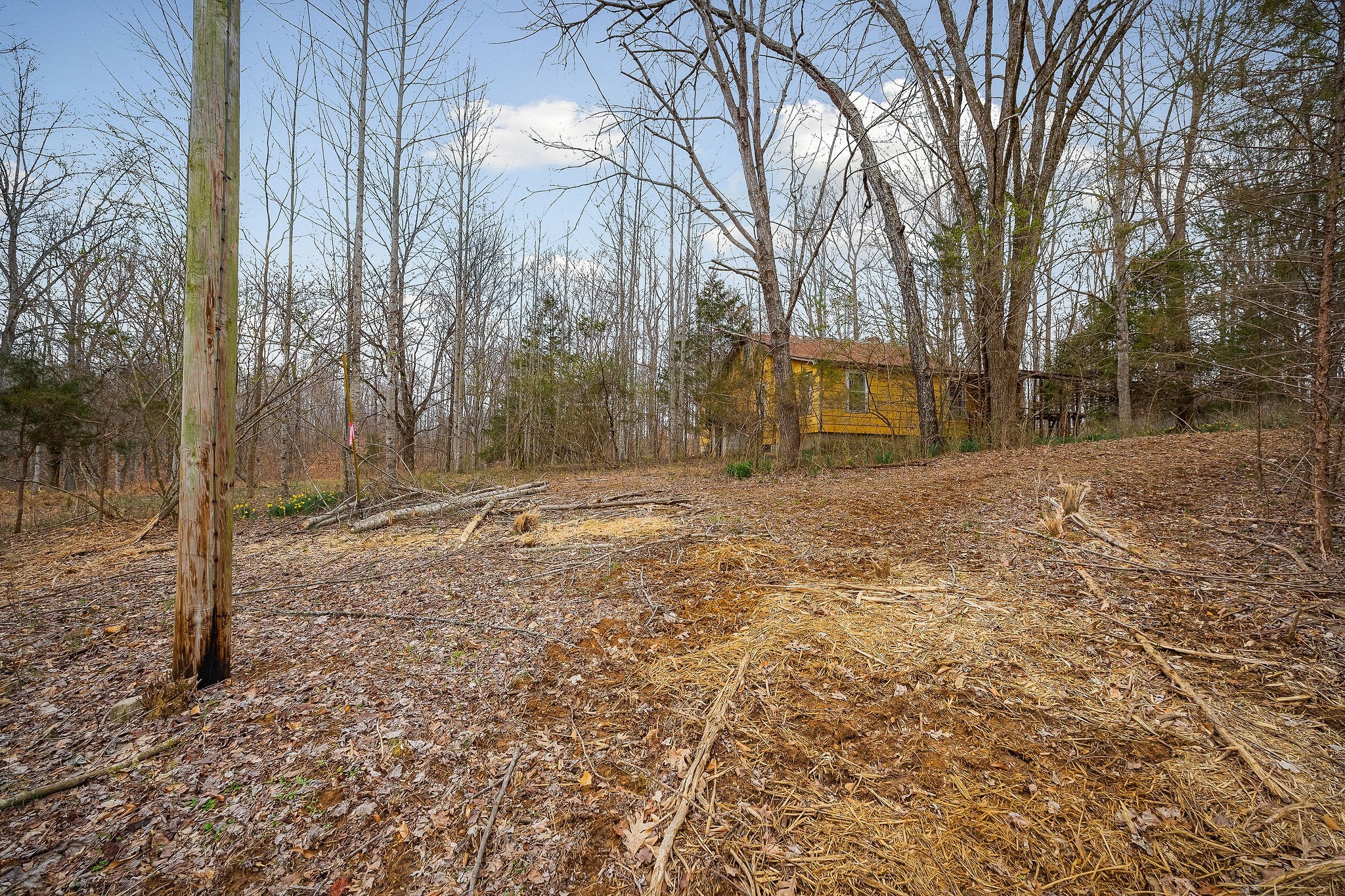 3944 Crawford Road Silver Point, TN 38582 - Photo 14 of 14 a backyard of a house with lots of green space