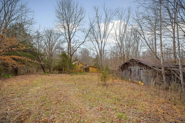 a view of yard with tree in the background