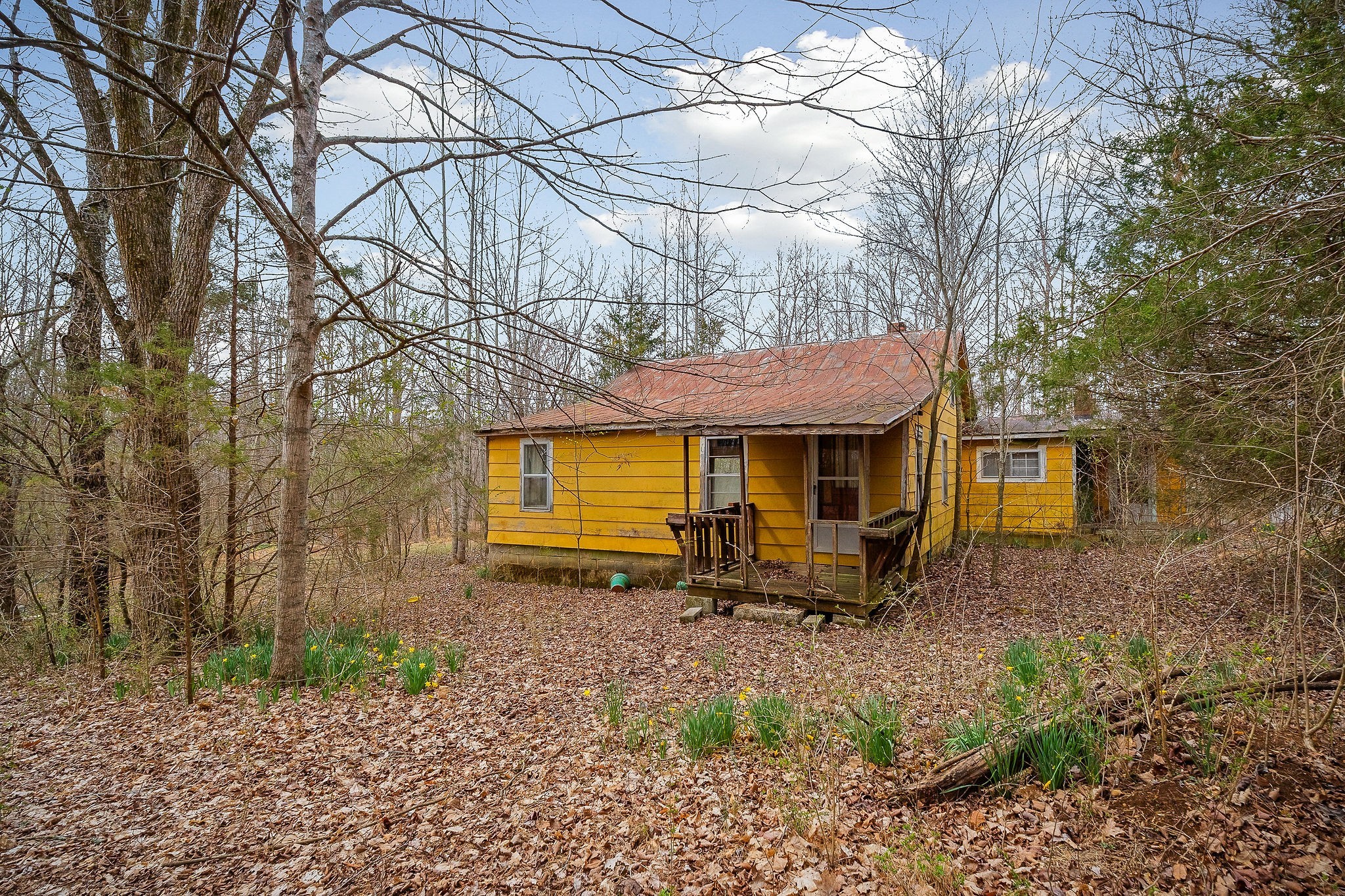 3944 Crawford Road Silver Point, TN 38582 - Photo 4 of 14 a front view of a house with yard and seating area