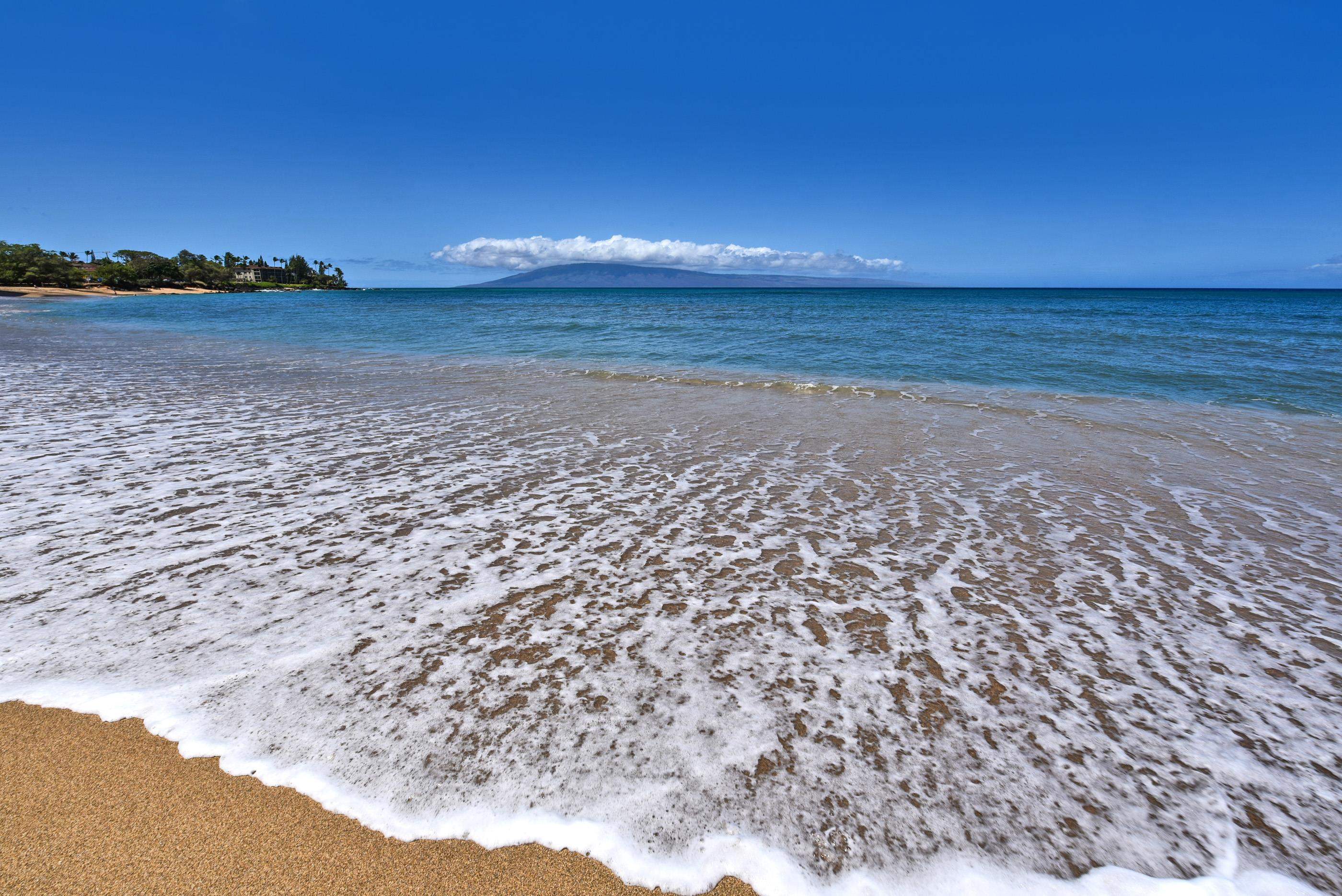 4327 Lower Honoapiilani Road, Unit 202B Lahaina, HI 96761 - Photo 15 of 29 Gallery Image 15