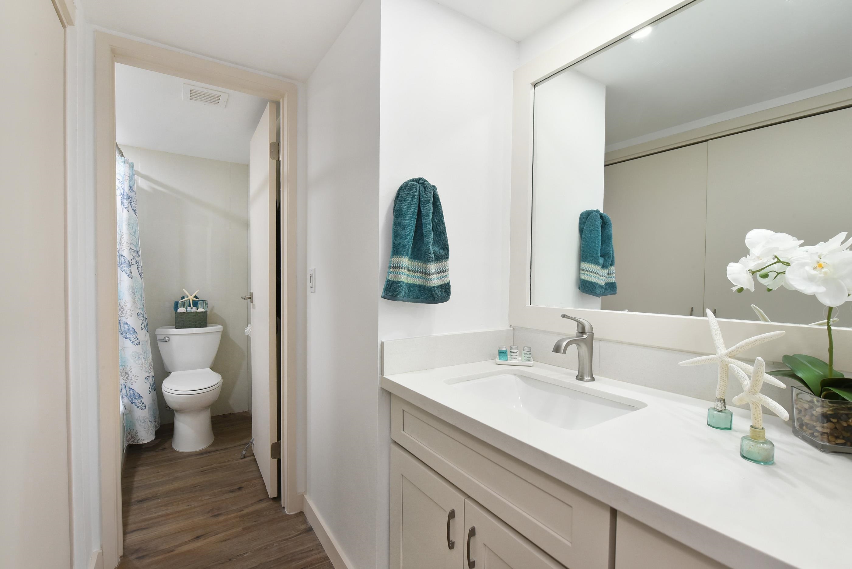 4327 Lower Honoapiilani Road, Unit 202B Lahaina, HI 96761 - Photo 18 of 29 Gallery Image 18
