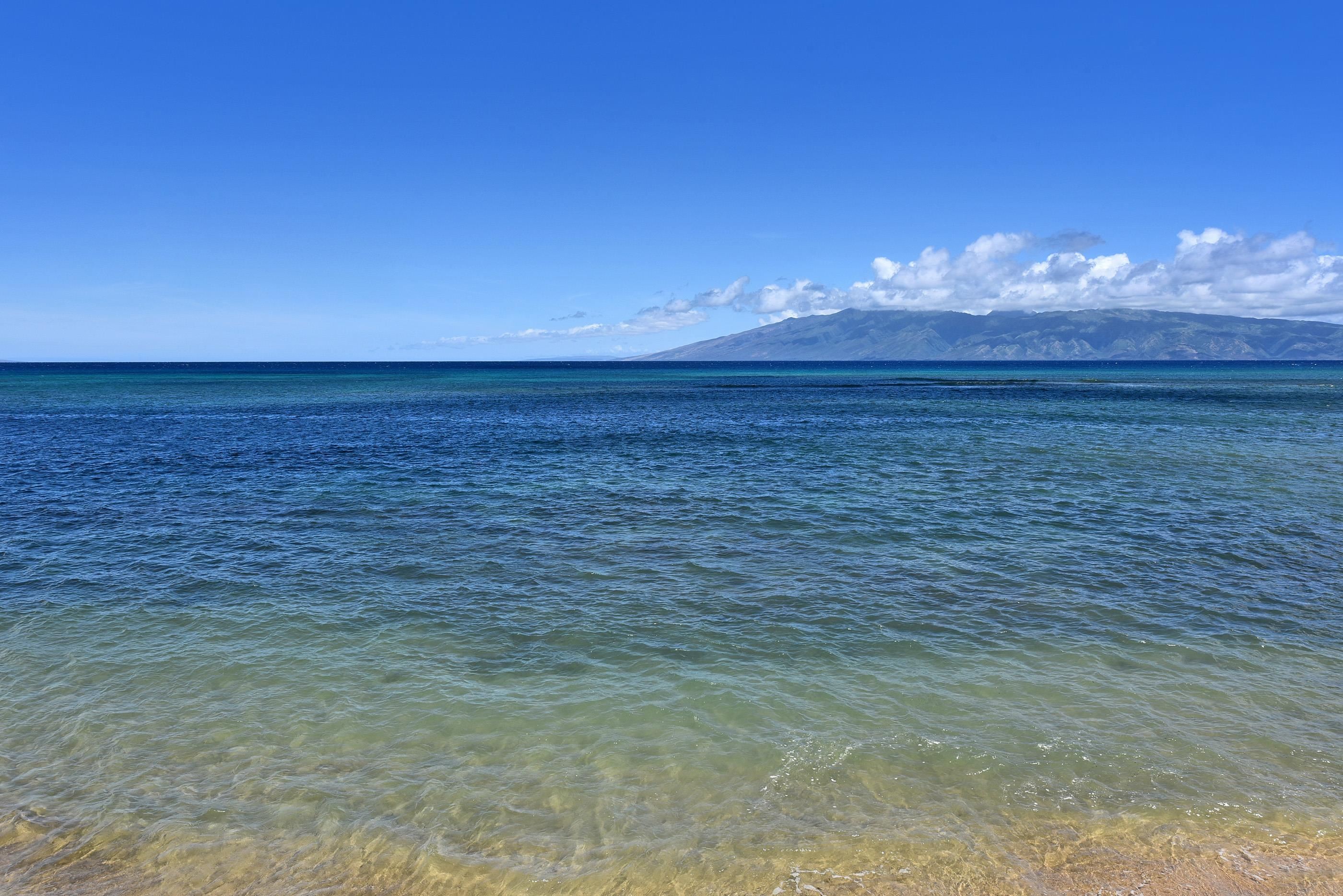 4327 Lower Honoapiilani Road, Unit 202B Lahaina, HI 96761 - Photo 23 of 29 Gallery Image 23