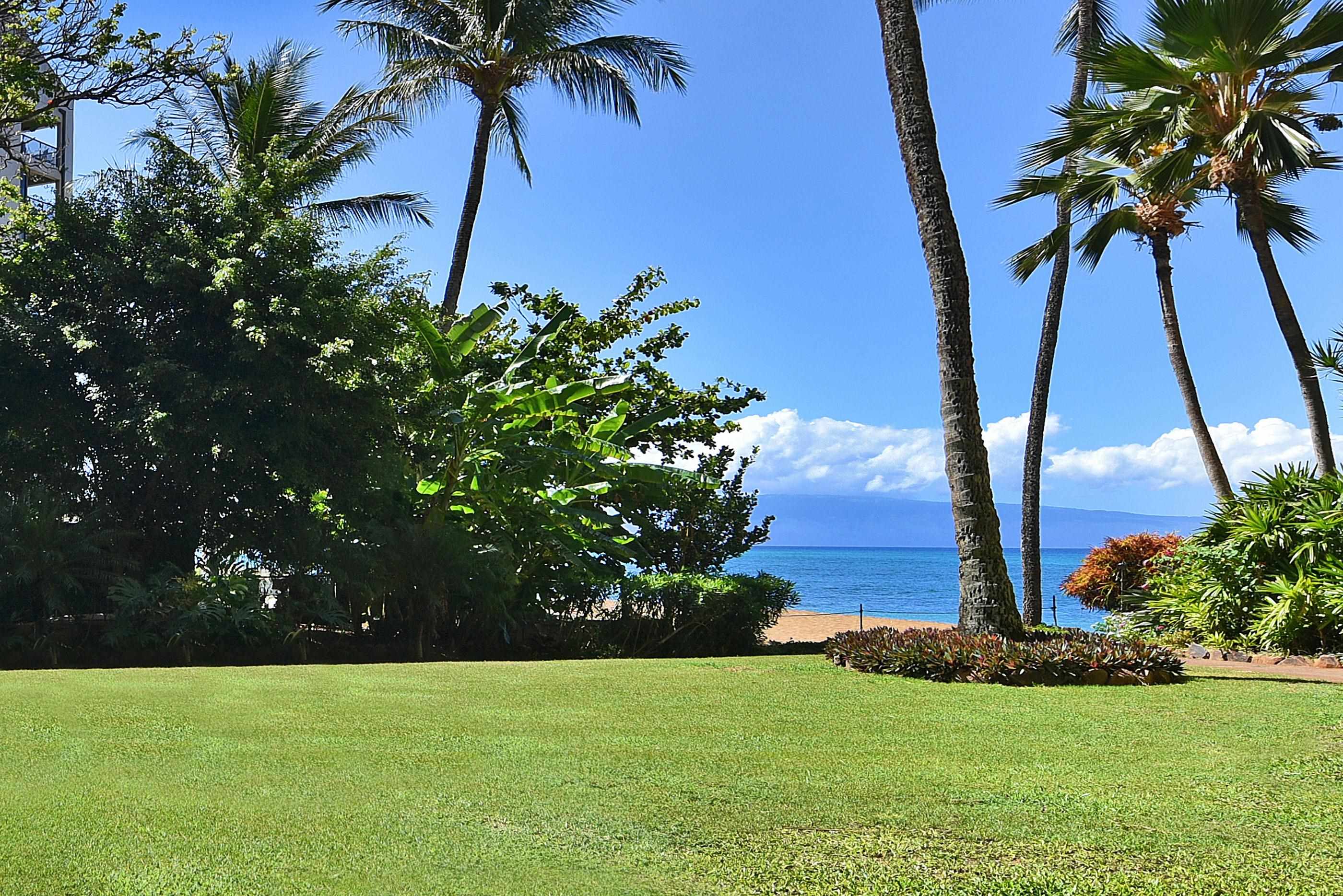 4327 Lower Honoapiilani Road, Unit 202B Lahaina, HI 96761 - Photo 5 of 29 Gallery Image 5