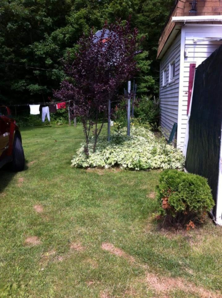 14915 White Road Ravenna, MI 49451 - Photo 7 of 11 received_592531184228680