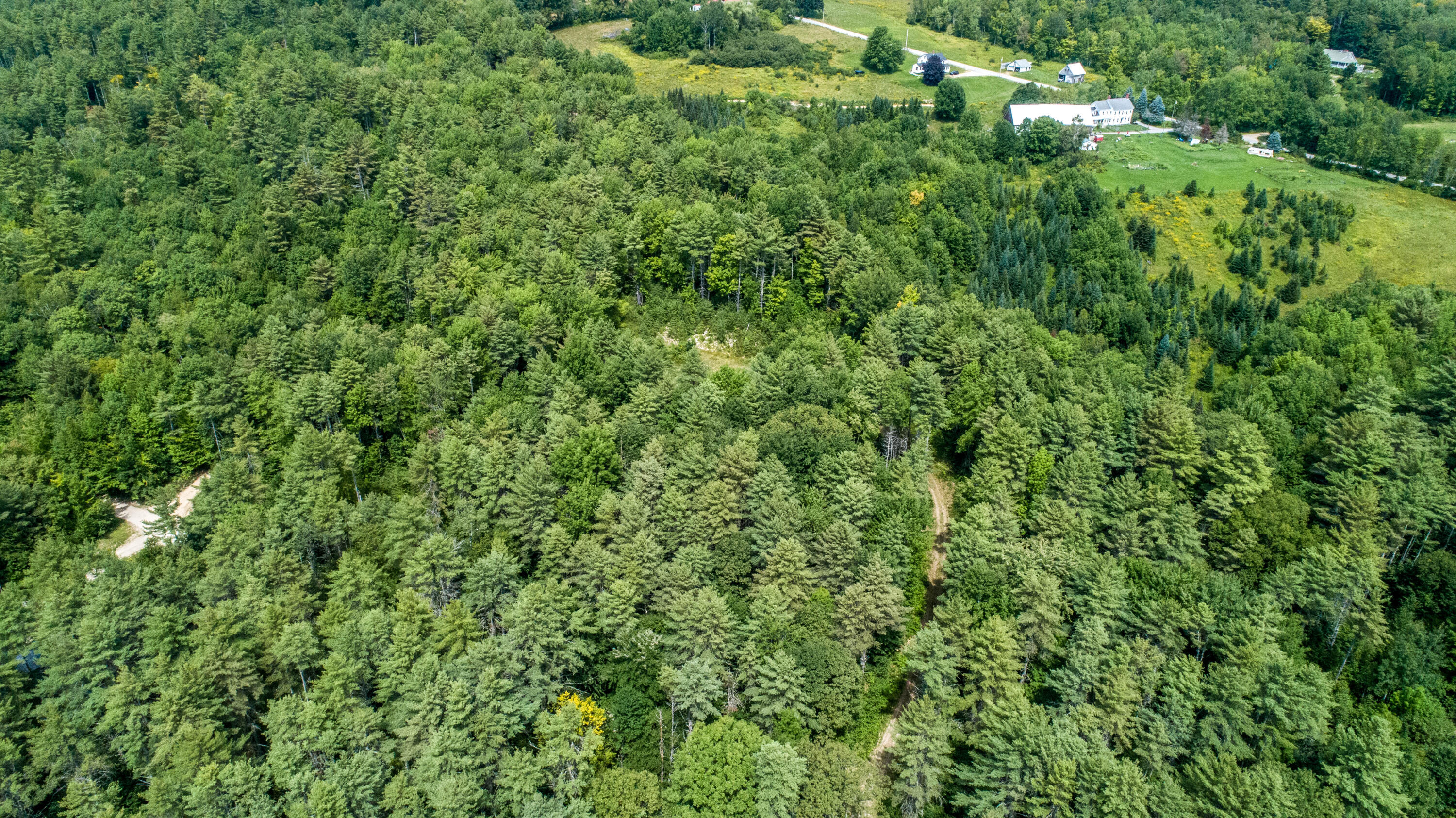 0 Middle Road Sebago, ME 04029 - Photo 7 of 13 DJI_0136
