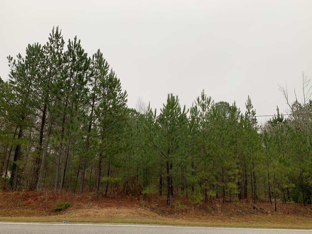 0 Flat Rock Road Tignall, GA 30668 - Photo 1 of 2 Main View