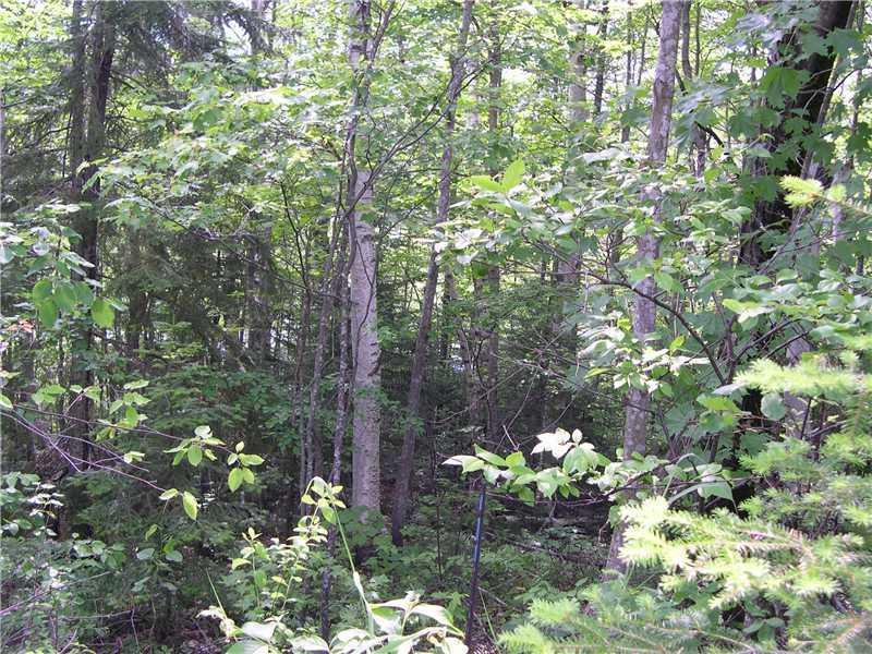 Lot 3 Bypass Road Sandy River Plt, ME 04970 - Photo 3 of 5 Land. Lot is sloping and has...