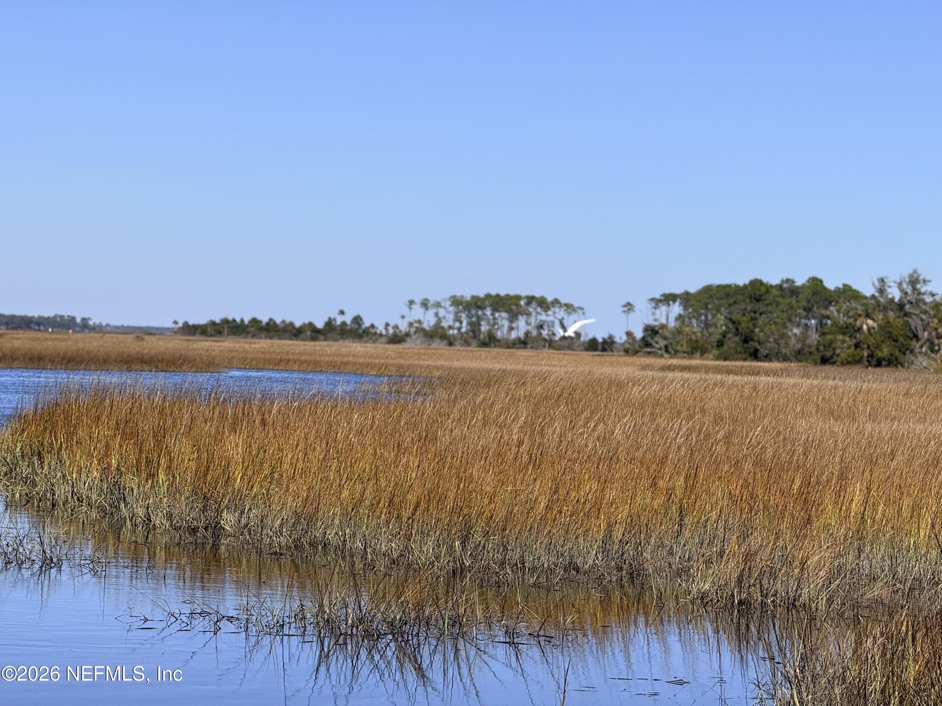 500 Coopers Cove Road St. Augustine, FL 32095 - Photo 36 of 41 IMG_4318