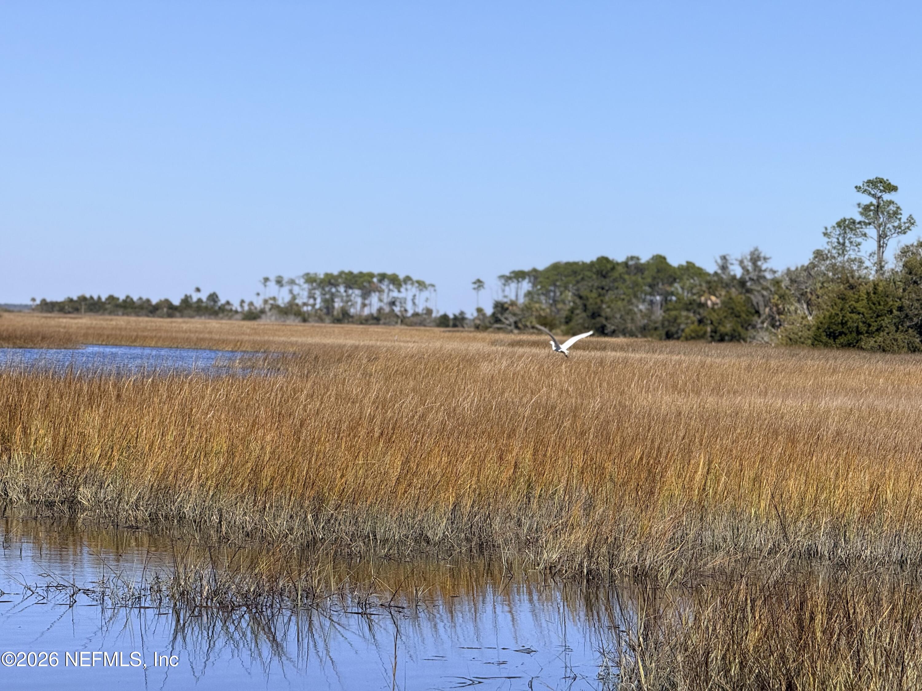 500 Coopers Cove Road St. Augustine, FL 32095 - Photo 37 of 41 IMG_4317