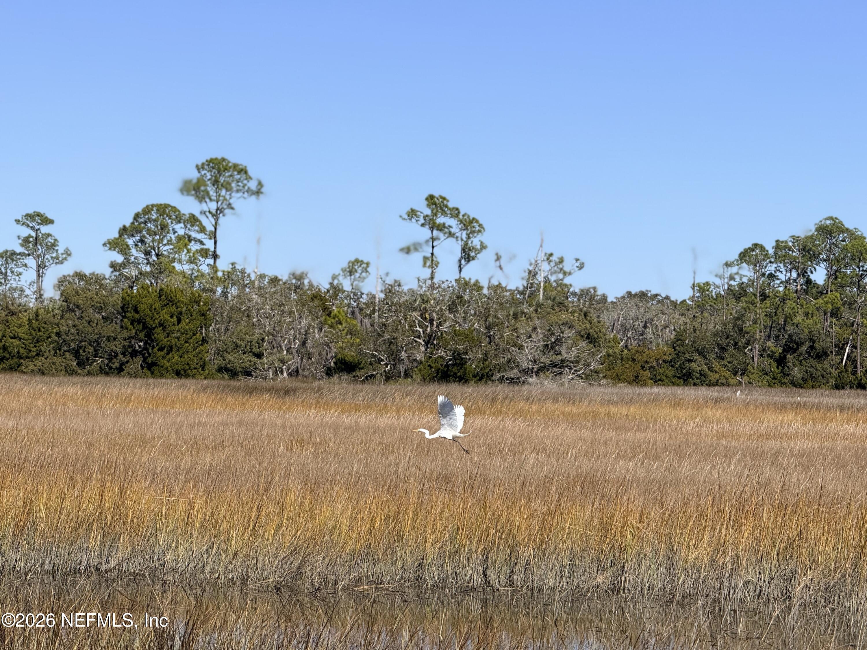 500 Coopers Cove Road St. Augustine, FL 32095 - Photo 39 of 41 IMG_4315