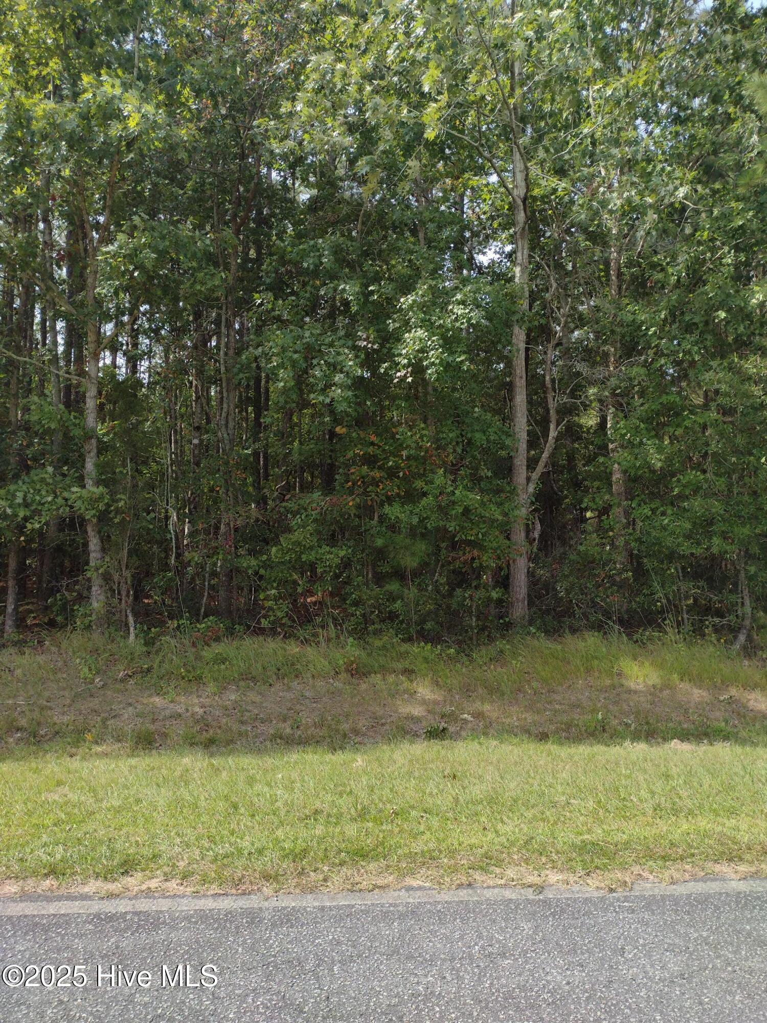 33 Pine Crest Road Bath, NC 27808 - Photo 3 of 4 LOT PIX