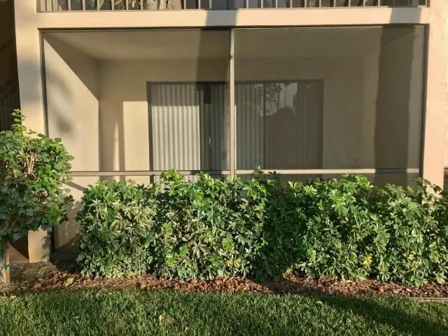 a green field with some plants in front of it