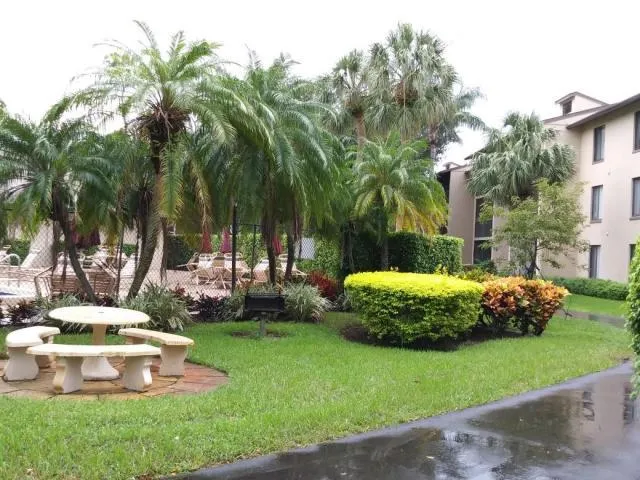 a view of a backyard with plants and palm trees