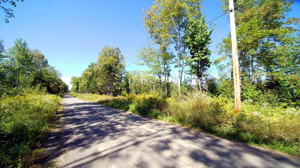 Lot 48 White Road Houlton, ME 04730 - Photo 19 of 27 white-rd-clark-2