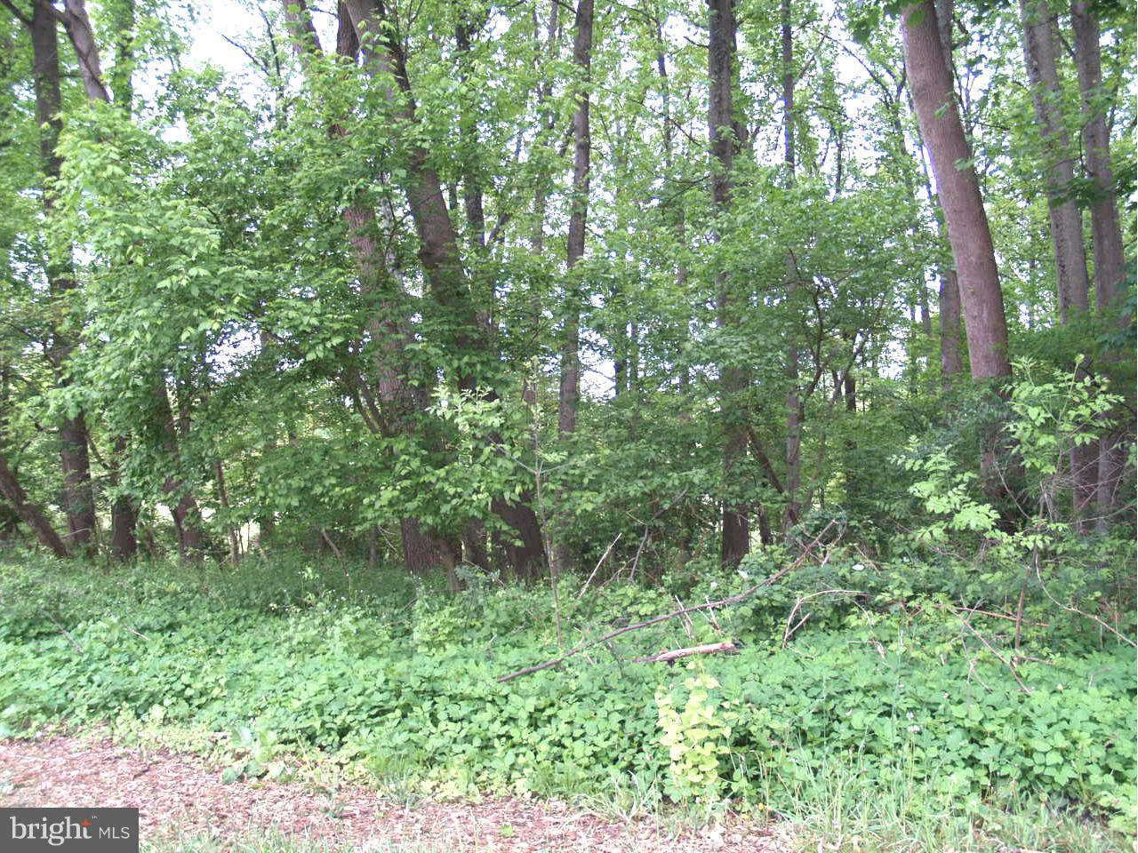 11503 Dewey Road Silver Spring, MD 20906 - Photo 24 of 27 Community