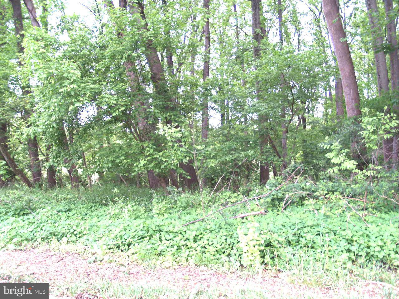 11503 Dewey Road Silver Spring, MD 20906 - Photo 25 of 27 View