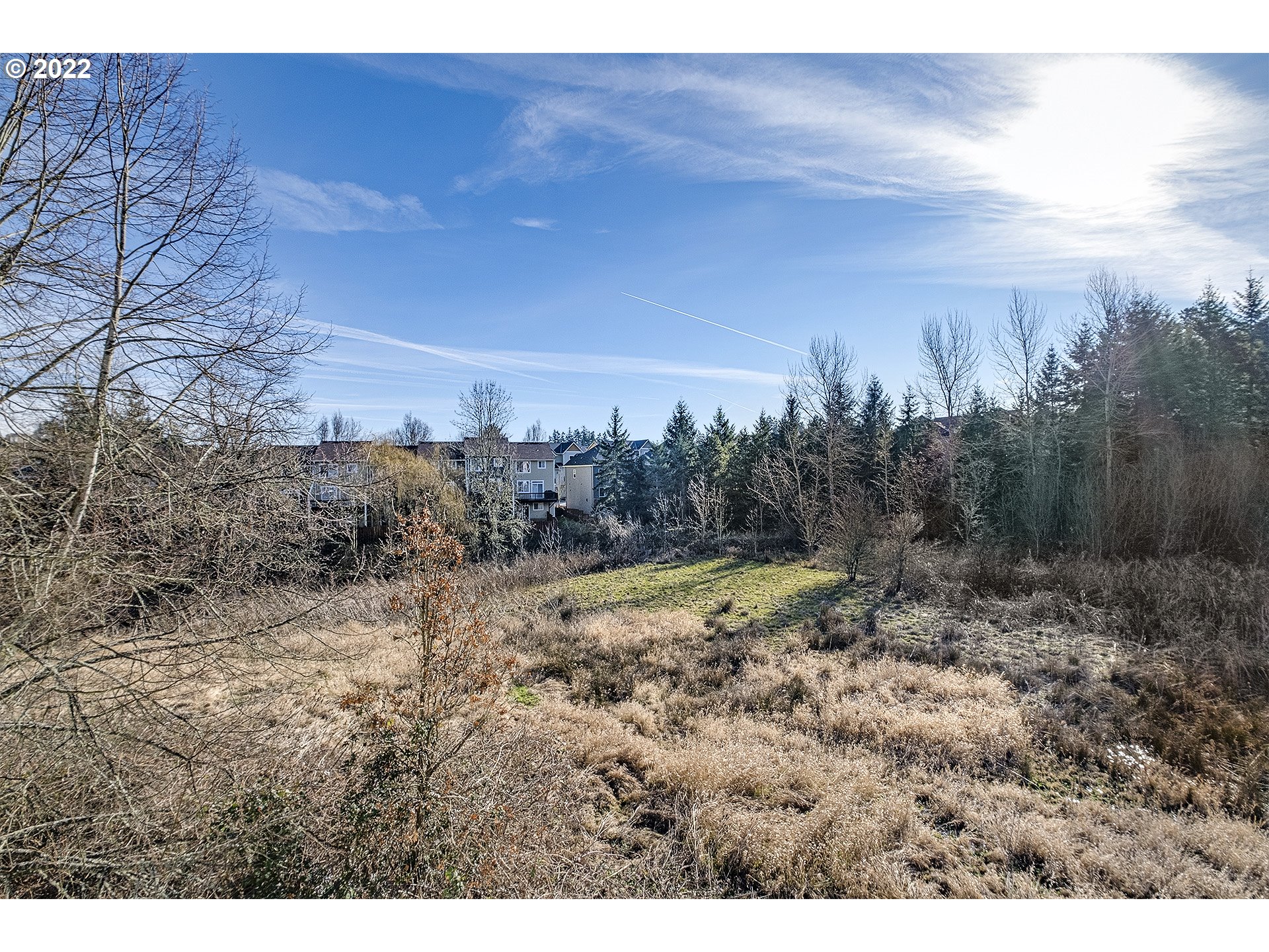 15718 Southwest Flagstone Drive Beaverton, OR 97007 - Photo 21 of 32 a view of a dry yard with trees