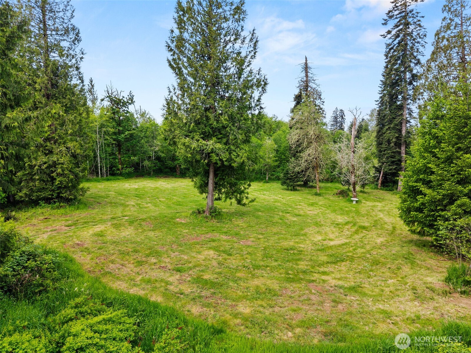 209-48 Haywire Road Winlock, WA 98596 - Photo 34 of 37