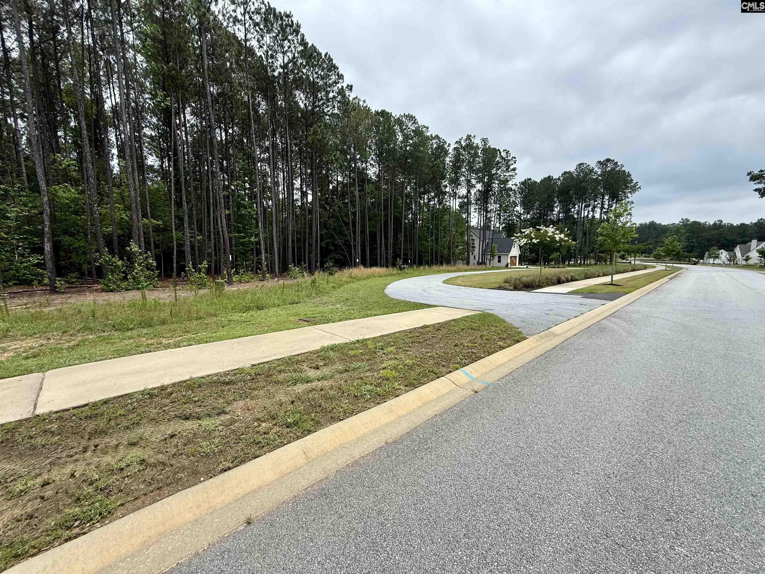 85 Timber Trl Lane Prosperity, SC 29127 - Photo 4 of 19