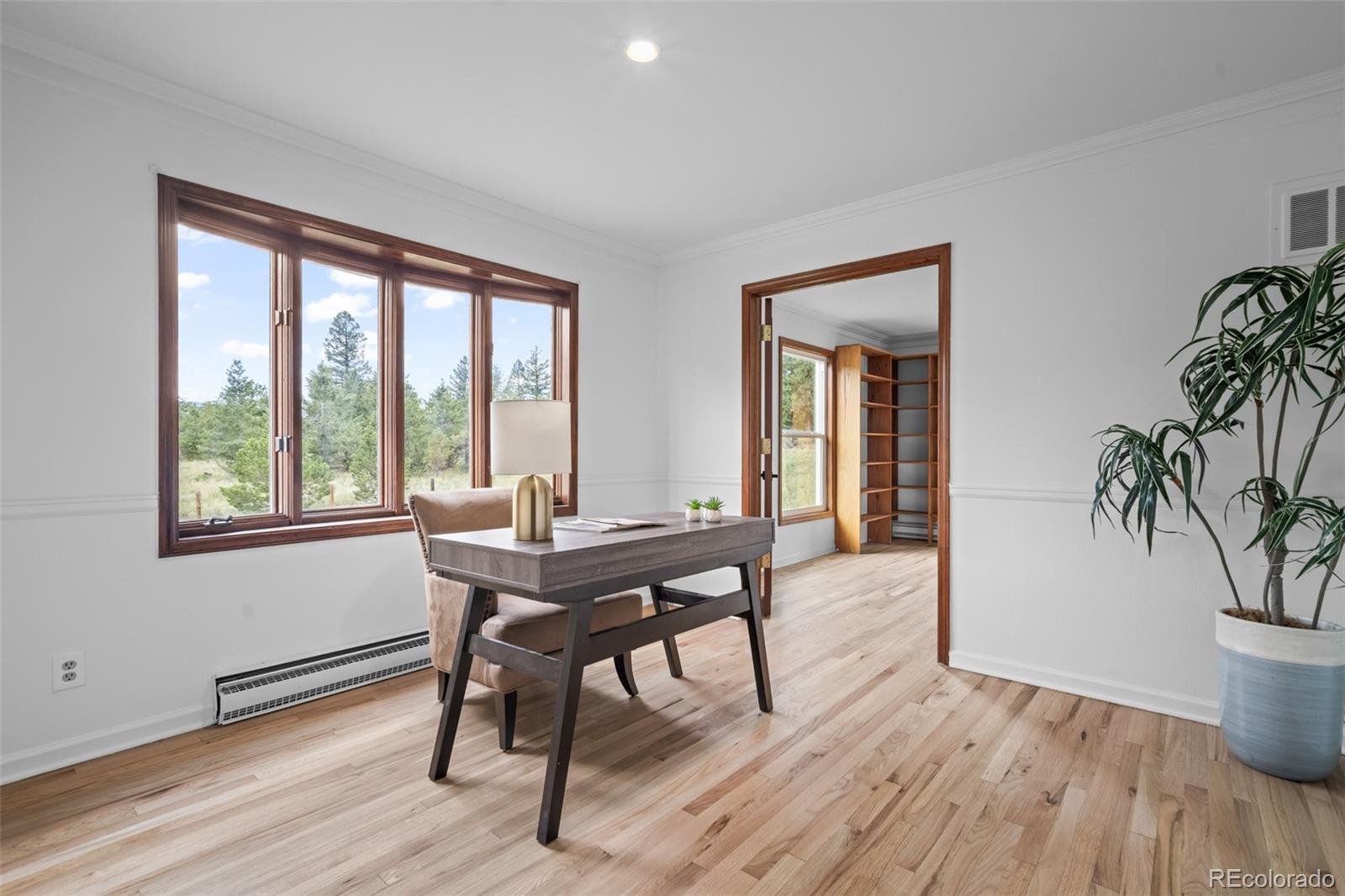 1231 Nova Road Pine, CO 80470 - Photo 10 of 48 Gallery Image 10