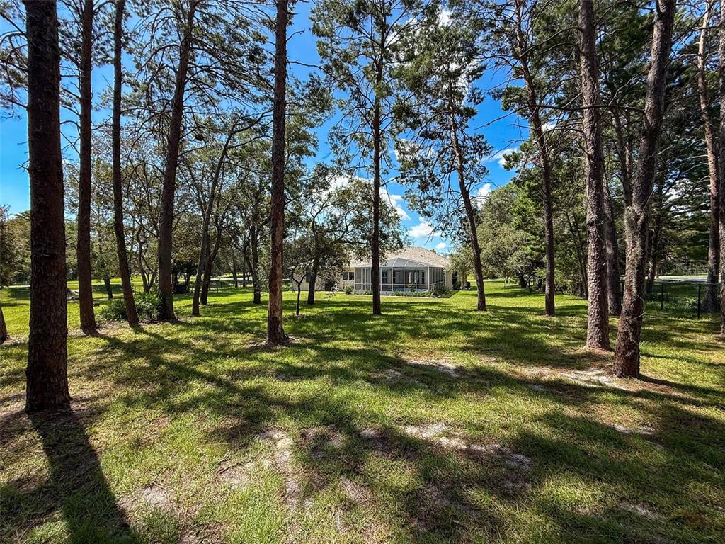 11235 Warm Wind Way Weeki Wachee, FL 34613 - Photo 71 of 93