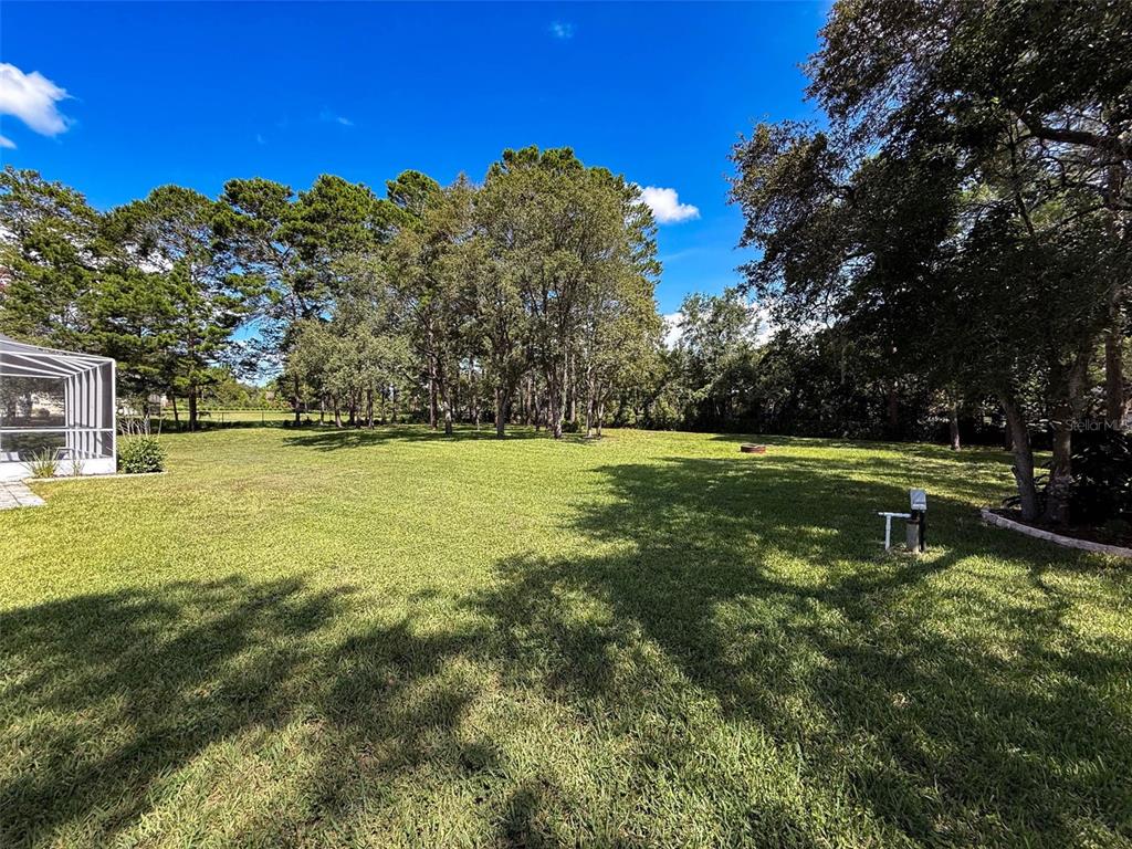11235 Warm Wind Way Weeki Wachee, FL 34613 - Photo 79 of 93 a view of a lake with a building in the background
