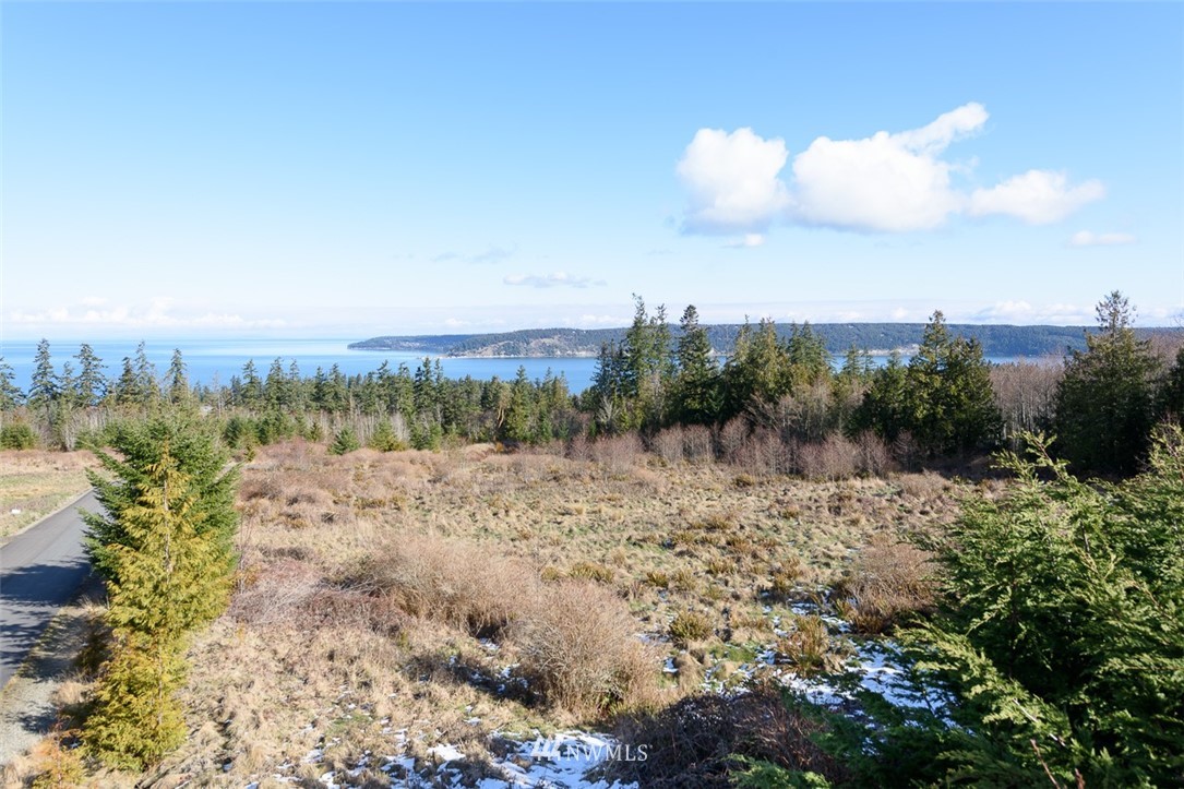 9999 View Ridge Drive Sequim, WA 98382 - Photo 1 of 25 Gallery Image 1