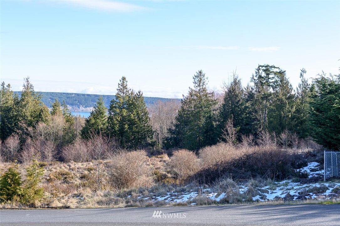 9999 View Ridge Drive Sequim, WA 98382 - Photo 2 of 25 Gallery Image 2