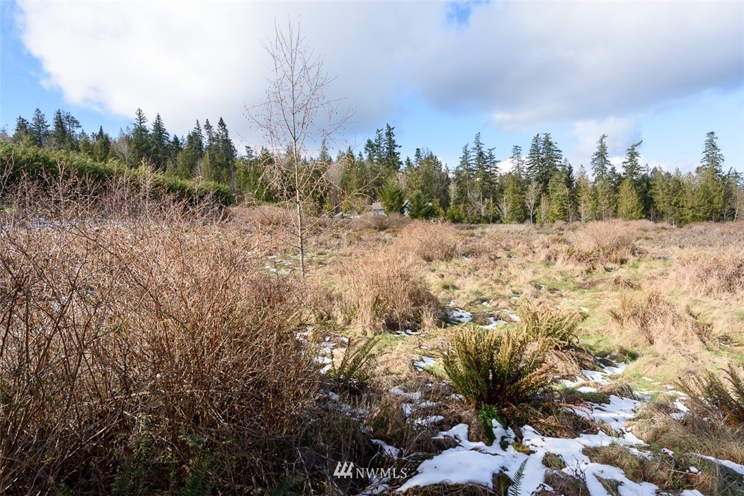 9999 View Ridge Drive Sequim, WA 98382 - Photo 11 of 25 Gallery Image 11
