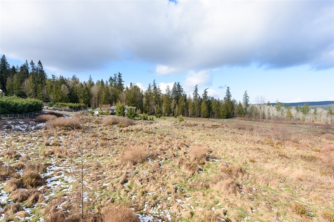 9999 View Ridge Drive Sequim, WA 98382 - Photo 13 of 25 Gallery Image 13