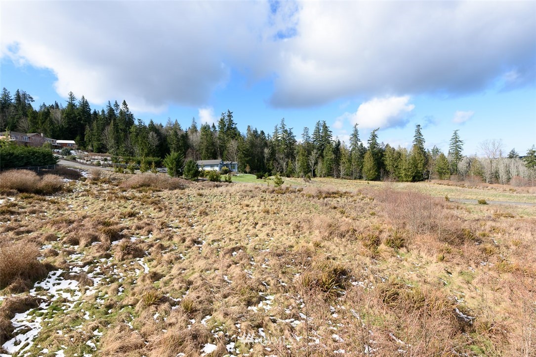 9999 View Ridge Drive Sequim, WA 98382 - Photo 16 of 25 Gallery Image 16