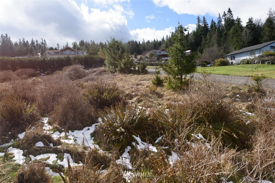 9999 View Ridge Drive Sequim, WA 98382 - Photo 20 of 25 Gallery Image 20