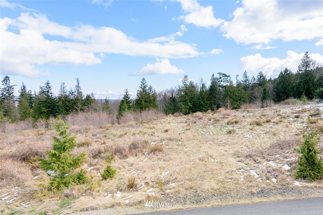 9999 View Ridge Drive Sequim, WA 98382 - Photo 4 of 25 Gallery Image 4