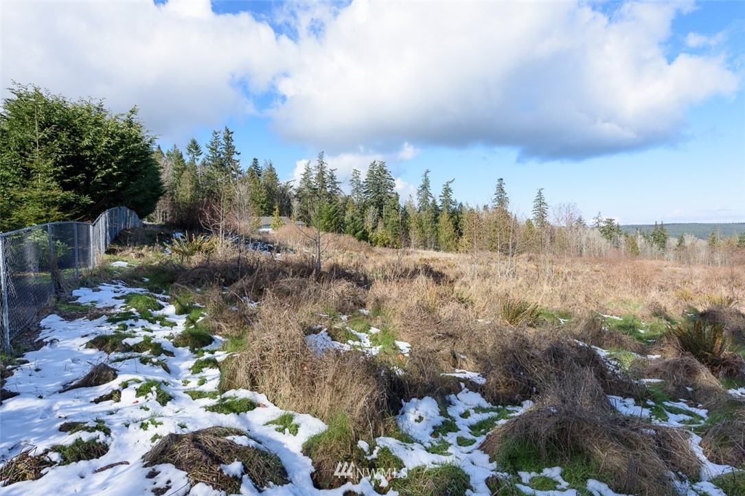 9999 View Ridge Drive Sequim, WA 98382 - Photo 9 of 25 Gallery Image 9
