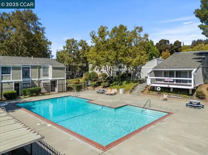 a view of a swimming pool with chairs and plants