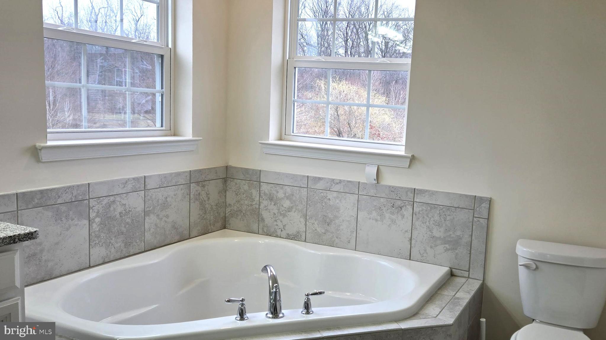 602 Rigel Way Bear, DE 19701 - Photo 18 of 28 a white bath tub sitting next to a window