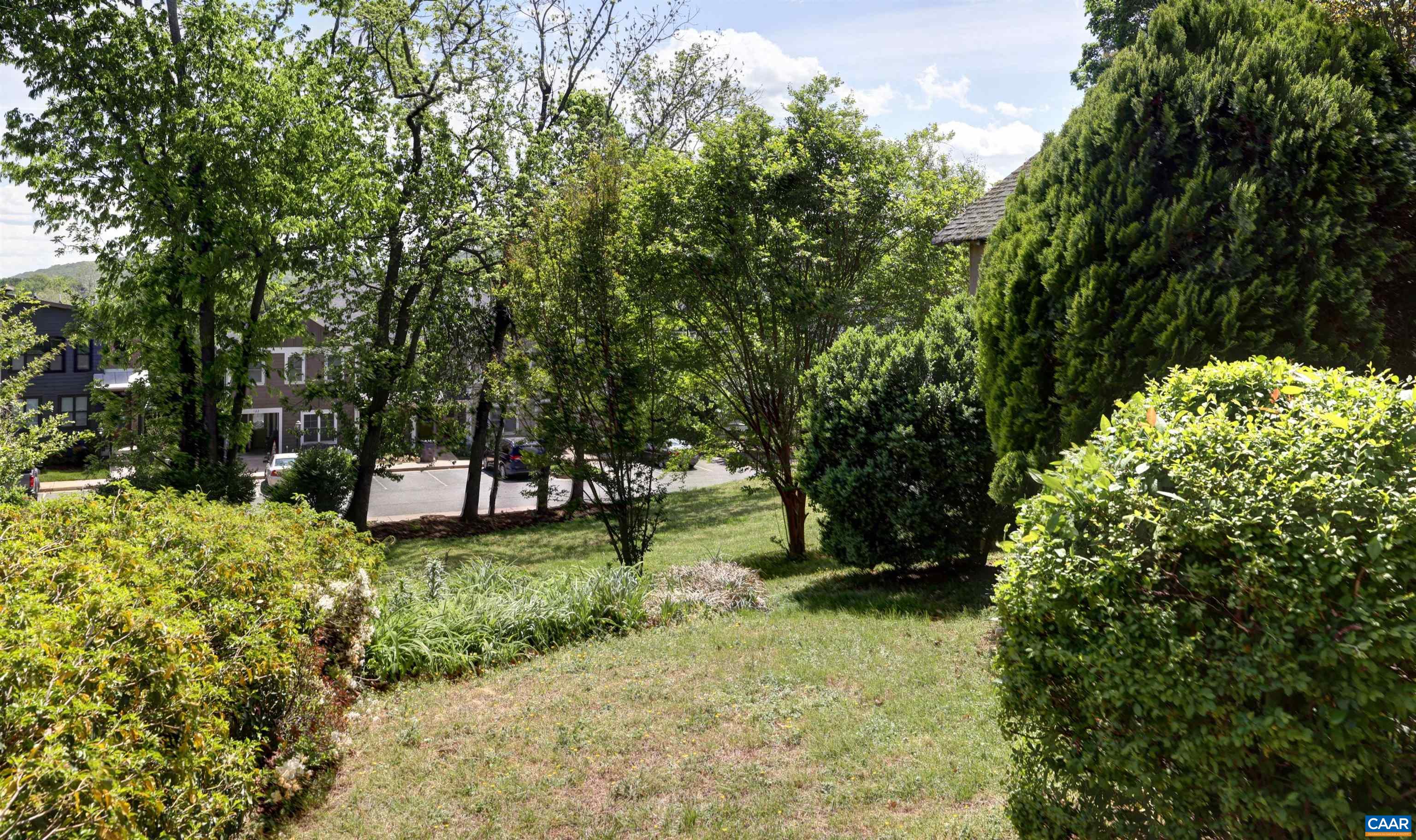 620 Ridge Street Charlottesville, VA 22902 - Photo 4 of 51