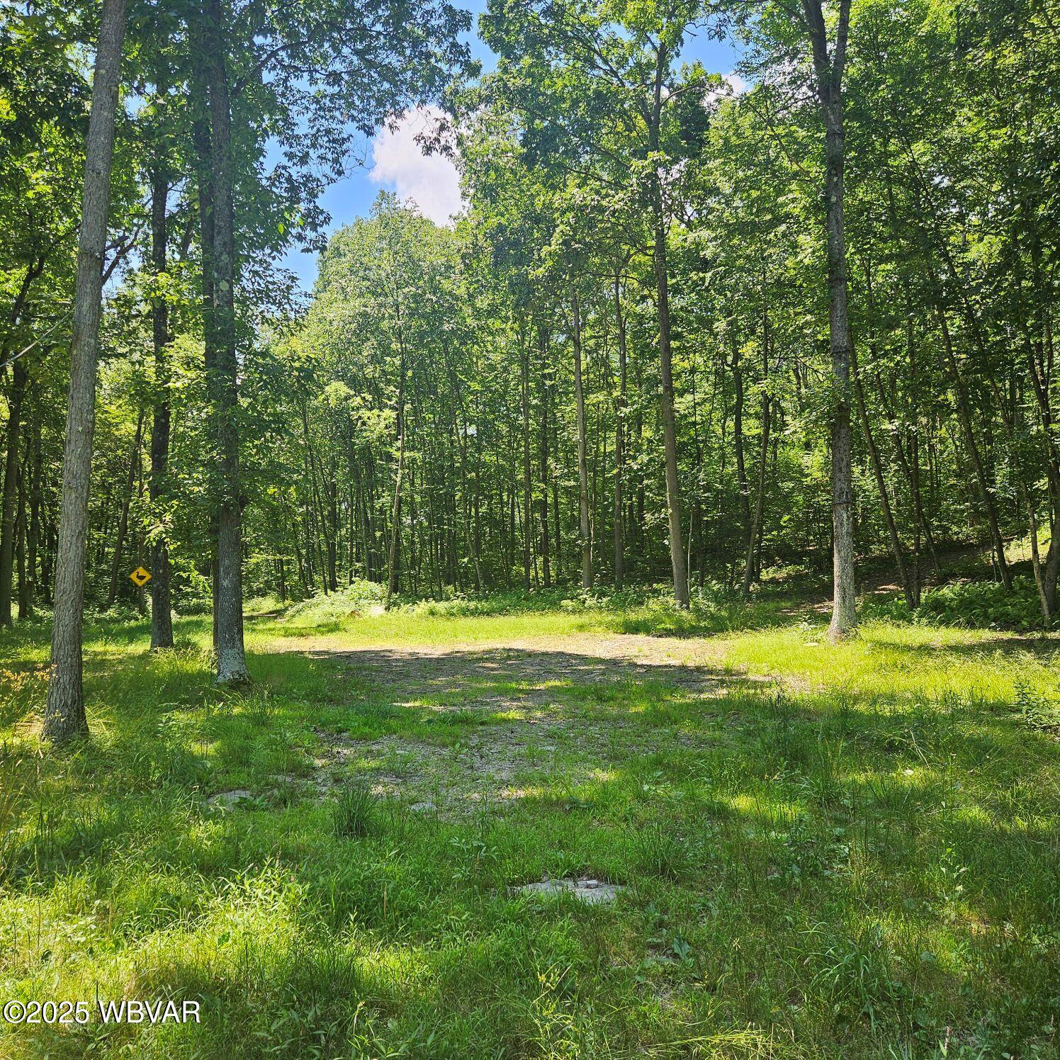 477 Bucky Road Renovo, PA 17764 - Photo 21 of 22 yard