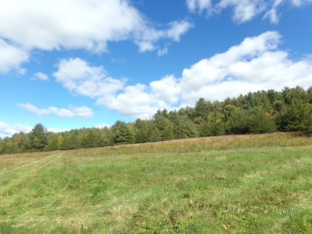 4444 North Pownal Road Pownal, VT 05261 - Photo 2 of 10