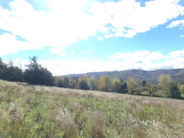 4444 North Pownal Road Pownal, VT 05261 - Photo 3 of 10