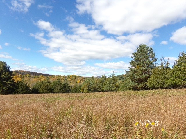 4444 North Pownal Road Pownal, VT 05261 - Photo 9 of 10