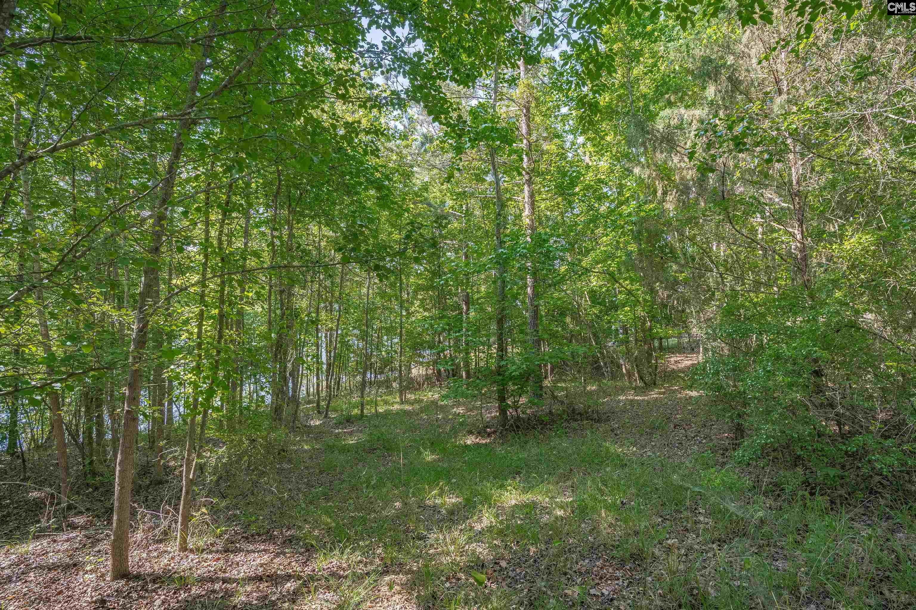 2022 Lake Road Ridgeway, SC 29130 - Photo 16 of 21