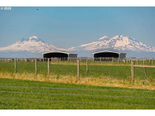 a garden view with a play ground