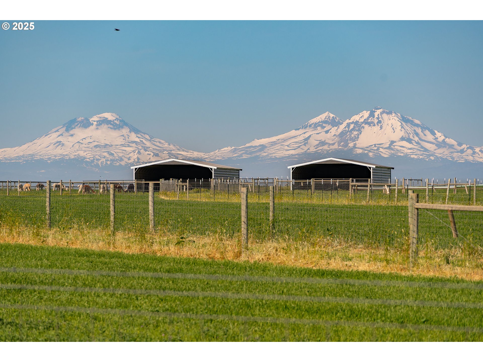 12444 Southwest Green Drive Culver, OR 97734 - Photo 2 of 34 a garden view with a play ground