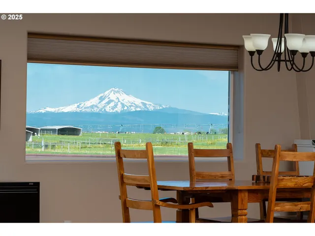 a living room with lots of furniture wooden floor and windows