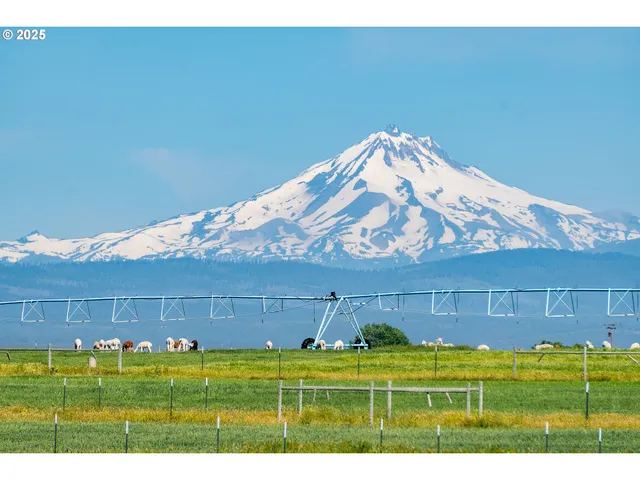 a view of a golf course with a table